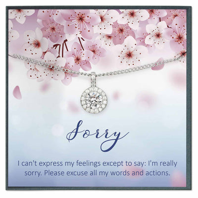 Sorry Gift Apology Gift