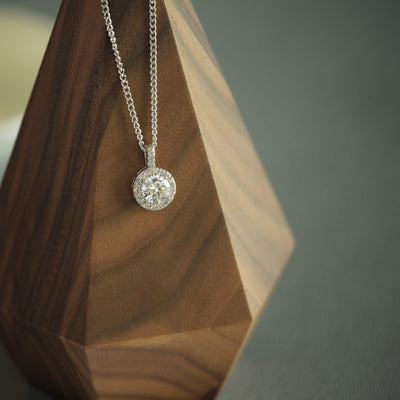 Sorry Gift Apology Gift